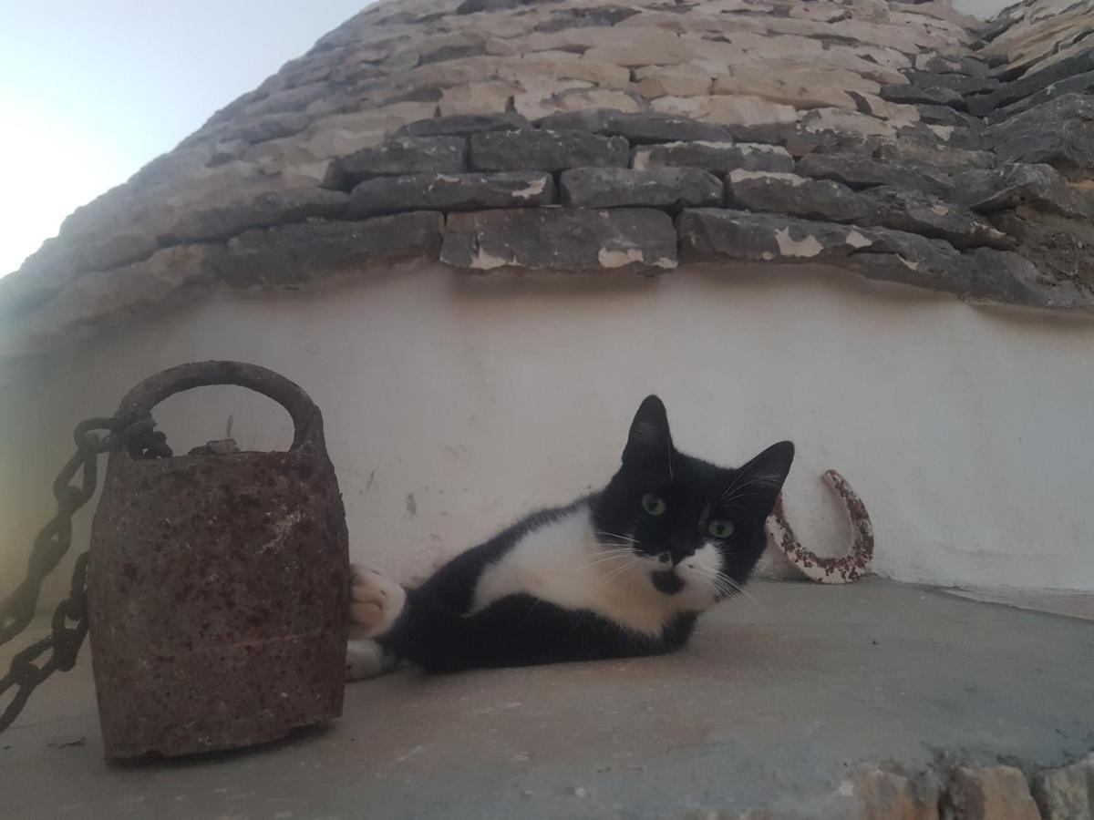 Il Fiore Della Vita Trulli Country House Conversano Eksteriør bilde