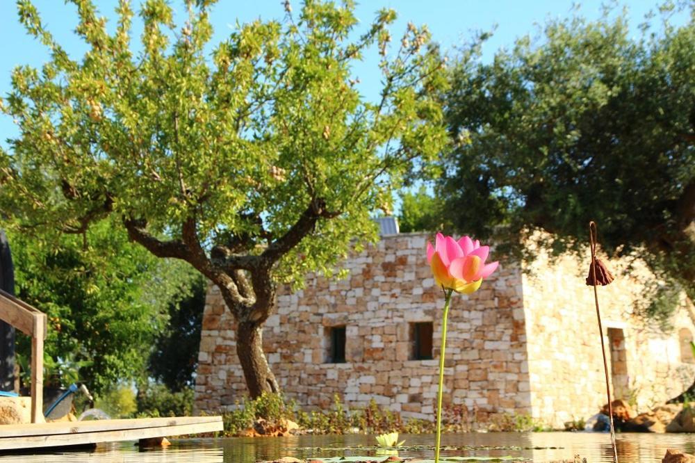 Il Fiore Della Vita Trulli Country House Conversano Eksteriør bilde
